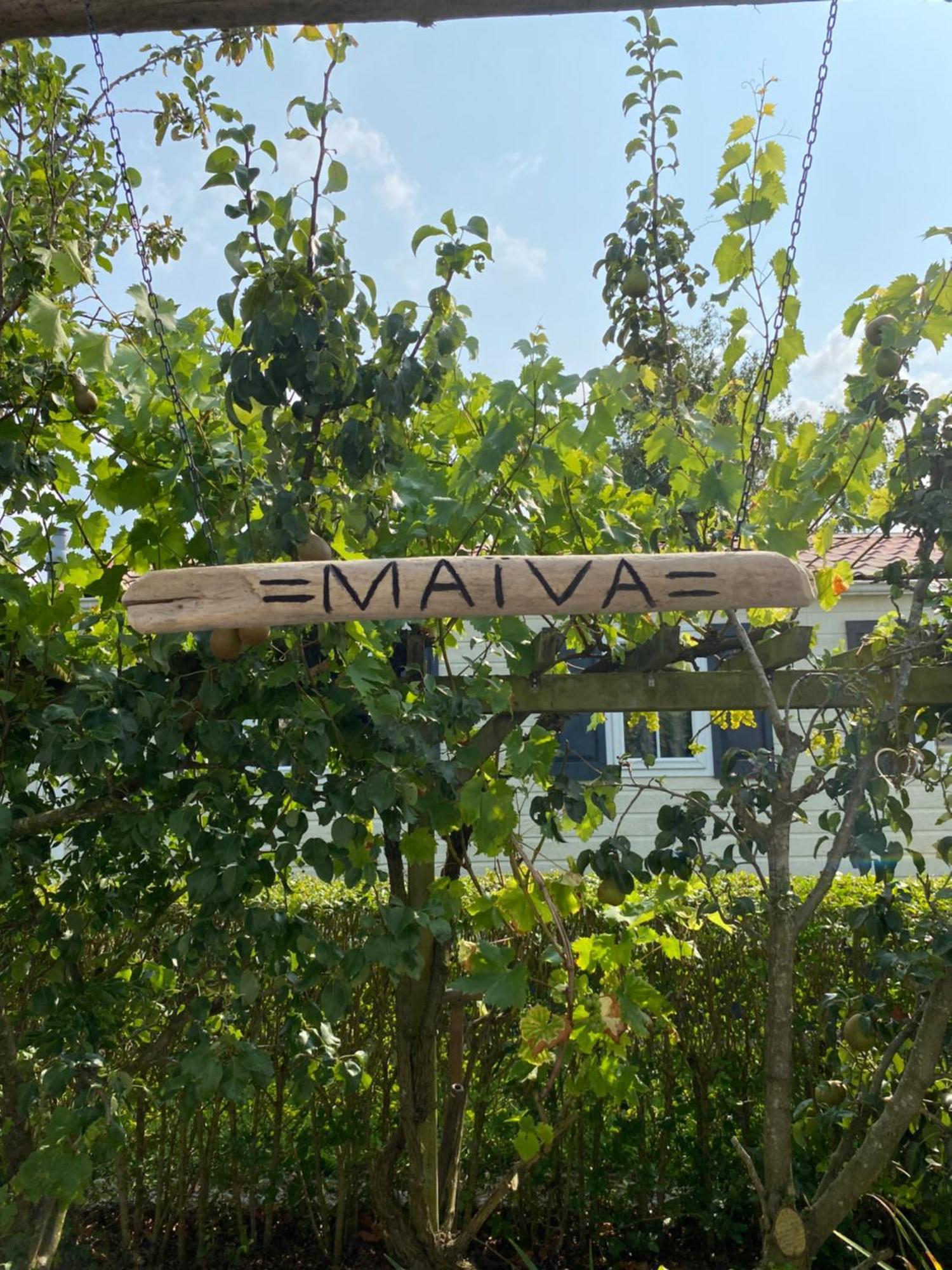 Vakantiewoning Maiva - Chaletparc Krabbenkreek سينت انالاند المظهر الخارجي الصورة